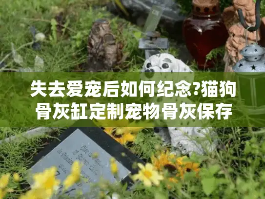 失去爱宠后如何纪念?猫狗骨灰缸定制宠物骨灰保存方案指南 失去爱宠后如何纪念?猫狗骨灰缸定制宠物骨灰保存方案指南