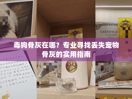 毒狗骨灰在哪？专业寻找丢失宠物骨灰的实用指南