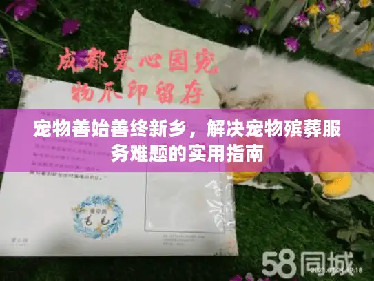 宠物善始善终新乡，解决宠物殡葬服务难题的实用指南