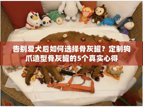 告别爱犬后如何选择骨灰罐？定制狗爪造型骨灰罐的5个真实心得