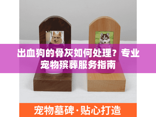 出血狗的骨灰如何处理？专业宠物殡葬服务指南