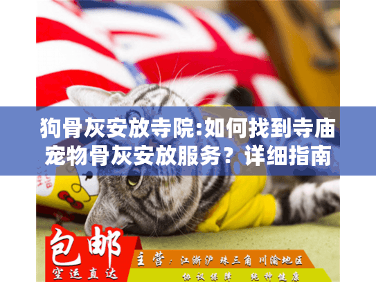 狗骨灰安放寺院:如何找到寺庙宠物骨灰安放服务？详细指南