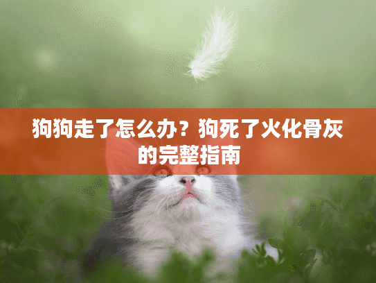 狗狗走了怎么办？狗死了火化骨灰的完整指南