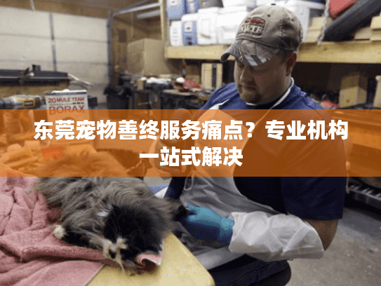 东莞宠物善终服务痛点？专业机构一站式解决