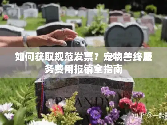 如何获取规范发票？宠物善终服务费用报销全指南