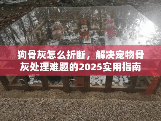 狗骨灰怎么折断，解决宠物骨灰处理难题的2025实用指南