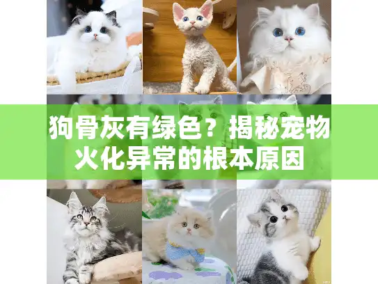 狗骨灰有绿色?揭秘宠物火化异常的根本原因 狗骨灰有绿色?揭秘宠物火化异常的根本原因