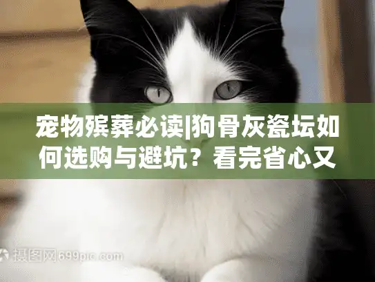 宠物殡葬必读|狗骨灰瓷坛如何选购与避坑?看完省心又放心 宠物殡葬必读|狗骨灰瓷坛如何选购与避坑?看完省心又放心