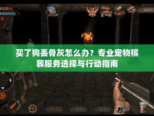 买了狗丢骨灰怎么办？专业宠物殡葬服务选择与行动指南