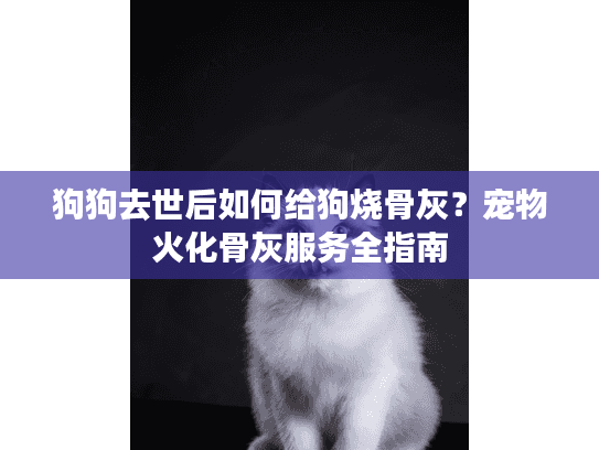 狗狗去世后如何给狗烧骨灰？宠物火化骨灰服务全指南