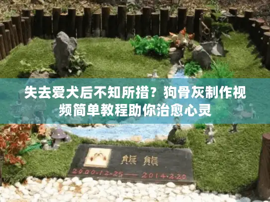 失去爱犬后不知所措？狗骨灰制作视频简单教程助你治愈心灵