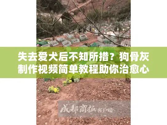 失去爱犬后不知所措？狗骨灰制作视频简单教程助你治愈心灵