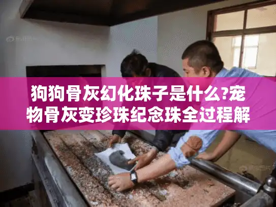 狗狗骨灰幻化珠子是什么?宠物骨灰变珍珠纪念珠全过程解析