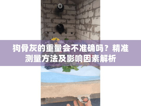 狗骨灰的重量会不准确吗？精准测量方法及影响因素解析