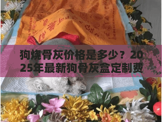 狗烧骨灰价格是多少？2025年最新狗骨灰盒定制费用解析
