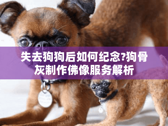 失去狗狗后如何纪念?狗骨灰制作佛像服务解析