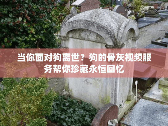 当你面对狗离世？狗的骨灰视频服务帮你珍藏永恒回忆