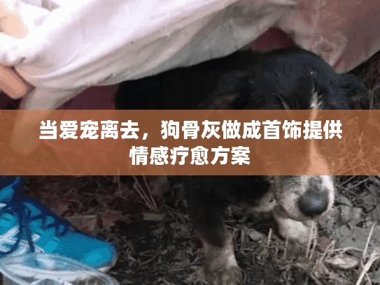 当爱宠离去，狗骨灰做成首饰提供情感疗愈方案