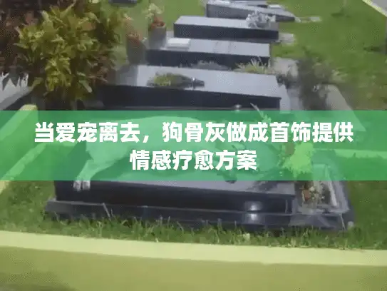 当爱宠离去，狗骨灰做成首饰提供情感疗愈方案