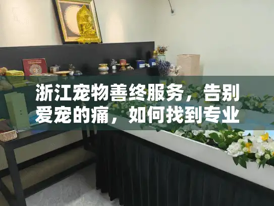 浙江宠物善终服务,告别爱宠的痛,如何找到专业解决方案? 浙江宠物善终服务,告别爱宠的痛,如何找到专业解决方案?