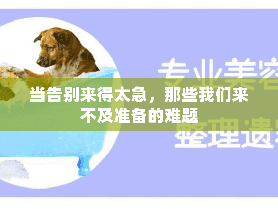 当告别来得太急，那些我们来不及准备的难题