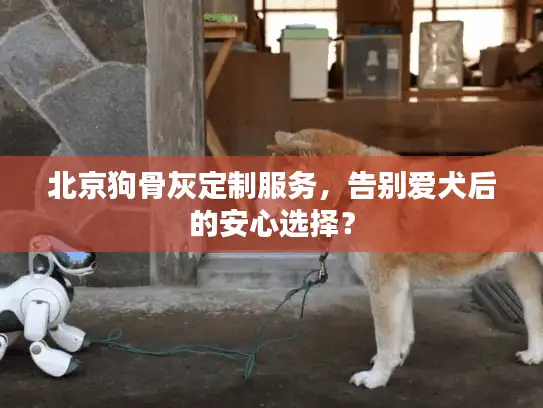 北京狗骨灰定制服务,告别爱犬后的安心选择? 北京狗骨灰定制服务,告别爱犬后的安心选择?