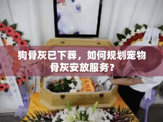 狗骨灰已下葬，如何规划宠物骨灰安放服务？