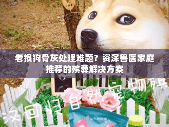 老损狗骨灰处理难题?资深兽医家庭推荐的殡葬解决方案 老损狗骨灰处理难题?资深兽医家庭推荐的殡葬解决方案