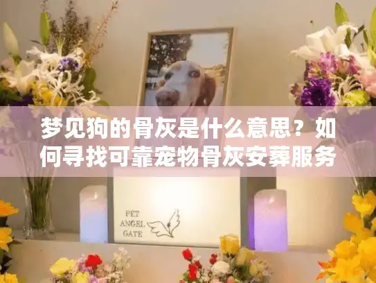 梦见狗的骨灰是什么意思?如何寻找可靠宠物骨灰安葬服务 梦见狗的骨灰是什么意思?如何寻找可靠宠物骨灰安葬服务