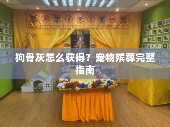 狗骨灰怎么获得?宠物殡葬完整指南 狗骨灰怎么获得?宠物殡葬完整指南