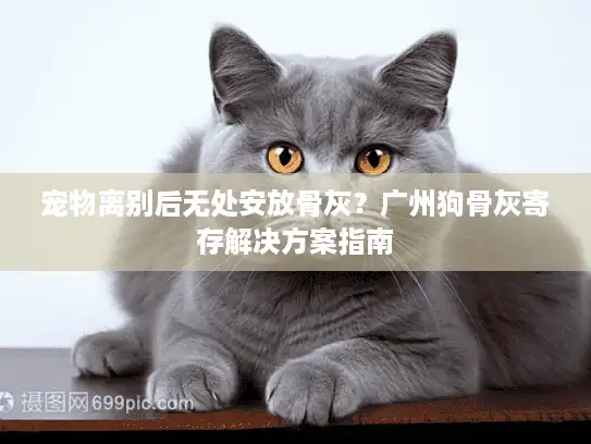 宠物离别后无处安放骨灰？广州狗骨灰寄存解决方案指南