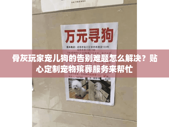 骨灰玩家宠儿狗的告别难题怎么解决?贴心定制宠物殡葬服务来帮忙 骨灰玩家宠儿狗的告别难题怎么解决?贴心定制宠物殡葬服务来帮忙