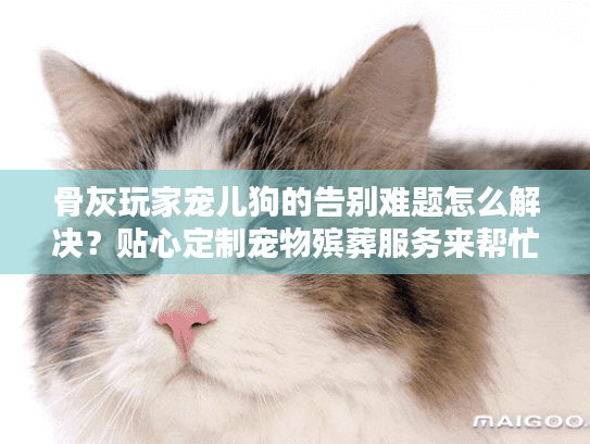 骨灰玩家宠儿狗的告别难题怎么解决?贴心定制宠物殡葬服务来帮忙 骨灰玩家宠儿狗的告别难题怎么解决?贴心定制宠物殡葬服务来帮忙