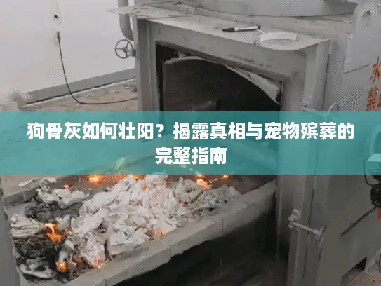 狗骨灰如何壮阳？揭露真相与宠物殡葬的完整指南