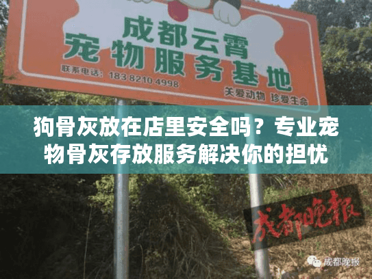 狗骨灰放在店里安全吗？专业宠物骨灰存放服务解决你的担忧