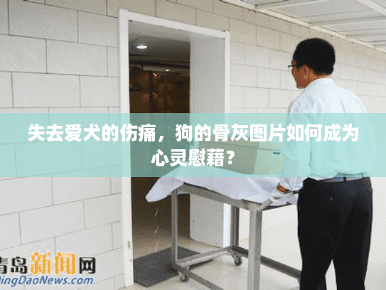 失去爱犬的伤痛，狗的骨灰图片如何成为心灵慰藉？