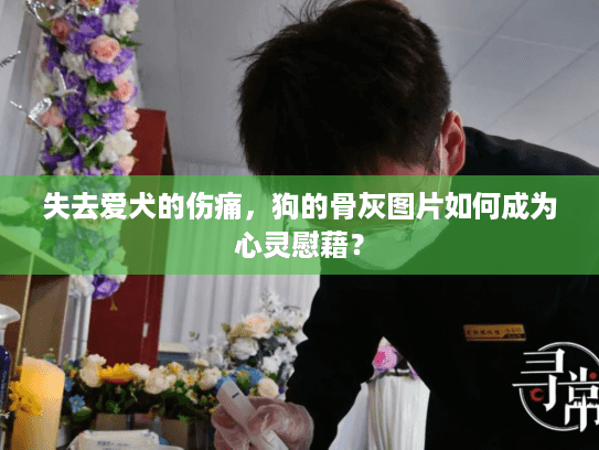 失去爱犬的伤痛，狗的骨灰图片如何成为心灵慰藉？