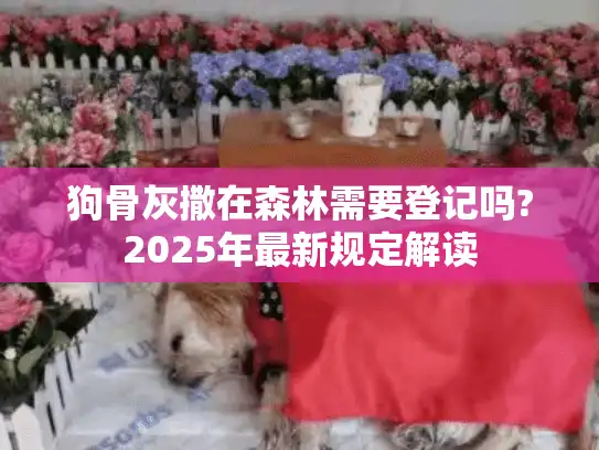 狗骨灰撒在森林需要登记吗?2025年最新规定解读
