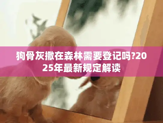 狗骨灰撒在森林需要登记吗?2025年最新规定解读