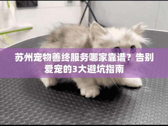 苏州宠物善终服务哪家靠谱?告别爱宠的3大避坑指南 苏州宠物善终服务哪家靠谱?告别爱宠的3大避坑指南