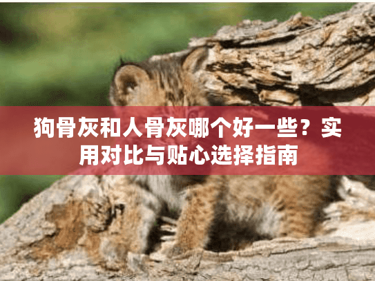狗骨灰和人骨灰哪个好一些?实用对比与贴心选择指南 狗骨灰和人骨灰哪个好一些?实用对比与贴心选择指南