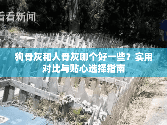 狗骨灰和人骨灰哪个好一些?实用对比与贴心选择指南 狗骨灰和人骨灰哪个好一些?实用对比与贴心选择指南