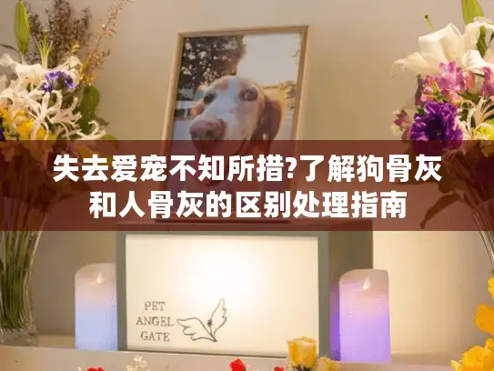 失去爱宠不知所措?了解狗骨灰和人骨灰的区别处理指南