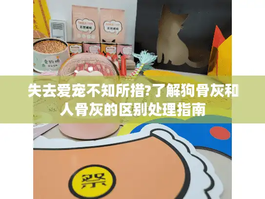 失去爱宠不知所措?了解狗骨灰和人骨灰的区别处理指南