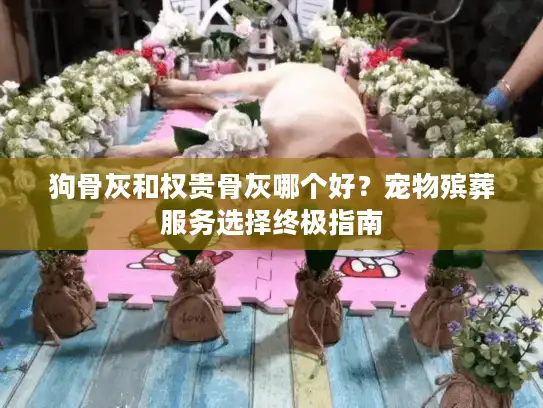 狗骨灰和权贵骨灰哪个好？宠物殡葬服务选择终极指南