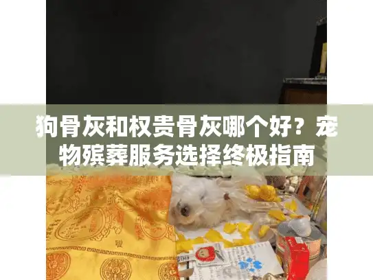 狗骨灰和权贵骨灰哪个好？宠物殡葬服务选择终极指南