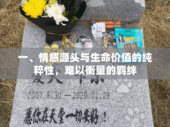 一、情感源头与生命价值的纯粹性，难以衡量的羁绊