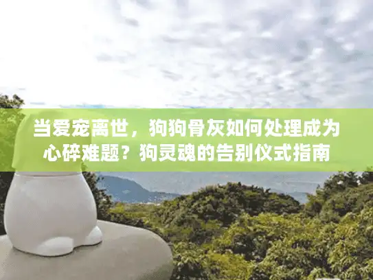 当爱宠离世，狗狗骨灰如何处理成为心碎难题？狗灵魂的告别仪式指南