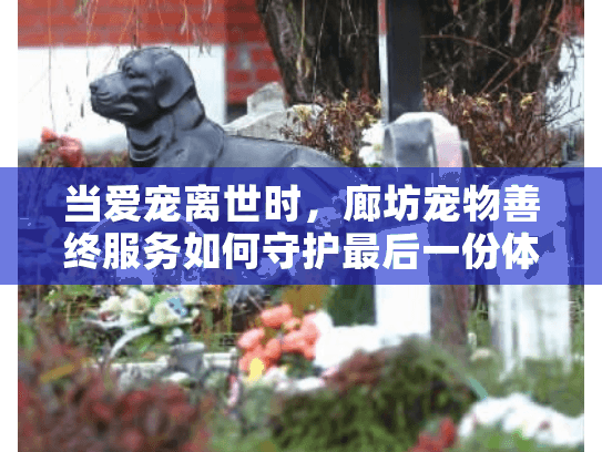当爱宠离世时，廊坊宠物善终服务如何守护最后一份体面？