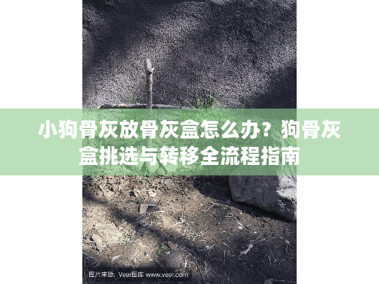 小狗骨灰放骨灰盒怎么办？狗骨灰盒挑选与转移全流程指南